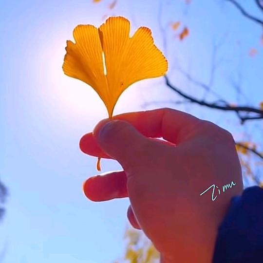 ❤️想事成