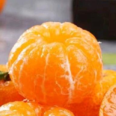 好吃懒做🍊