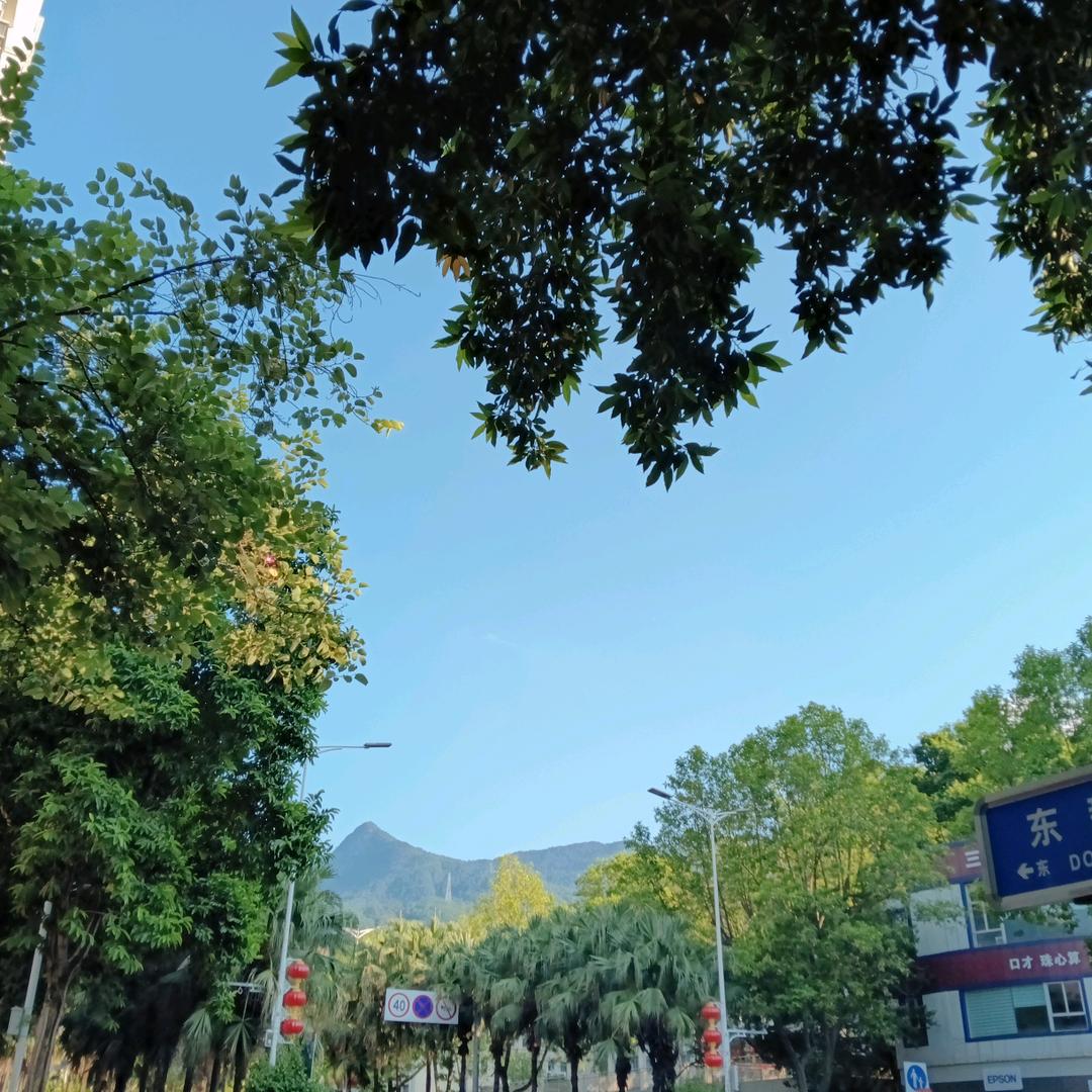 静待花开🌻🌻🌻