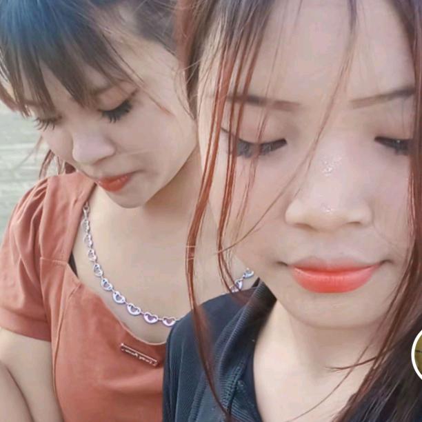 👩‍👧‍👦云南各种苗目