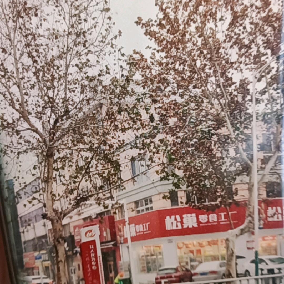 快乐就好