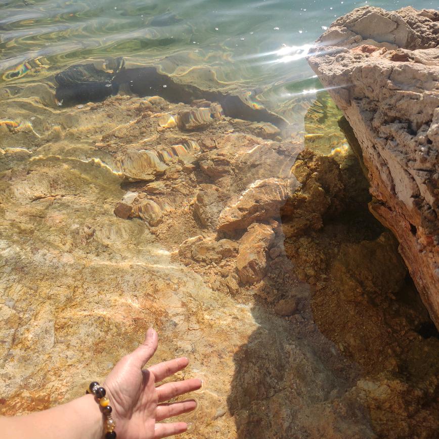 长🐽的小粉🐇