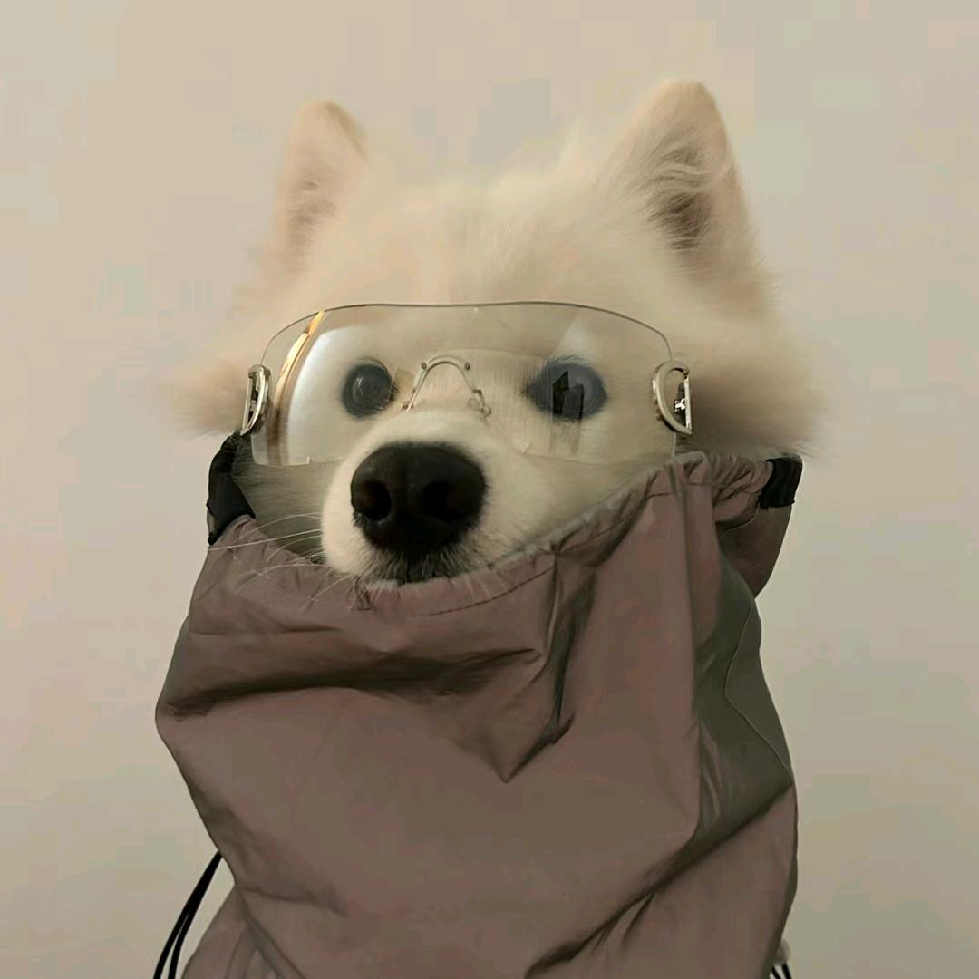 ned404