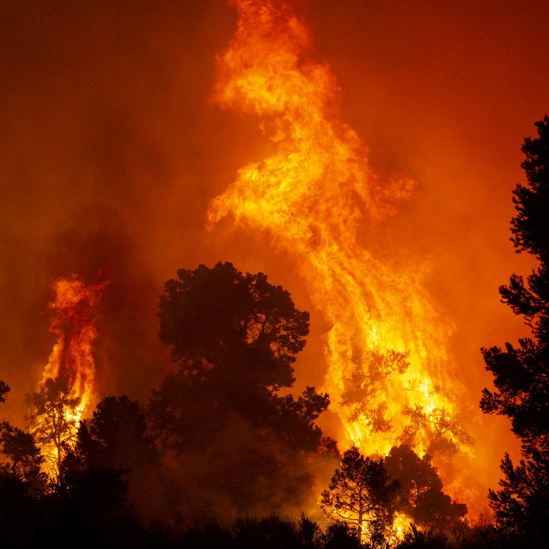 森焱《拒绝连赞》