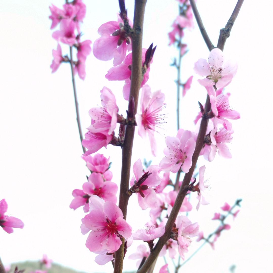 dan～宝🌸