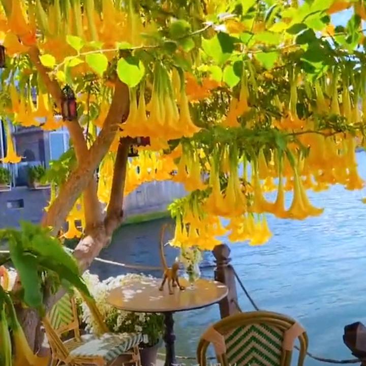 🌾聚🦜梵🦜阁佡🍯🐓7917