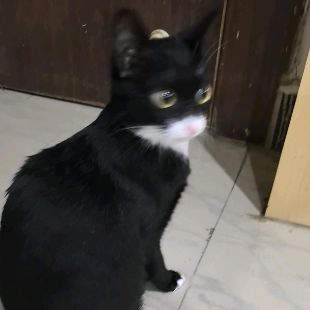 用户5581934130037
