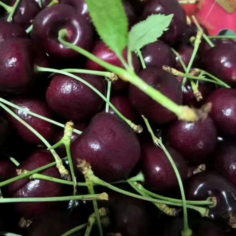 彩虹平价水果店