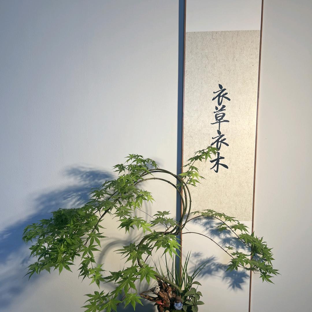 衣草衣木-忆古