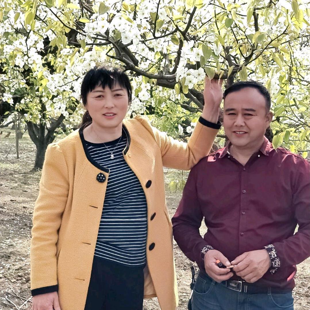 小丁香晚上7点半直播（大号）