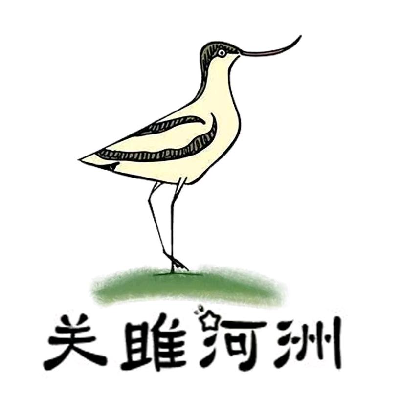 关雎河洲图书专营店