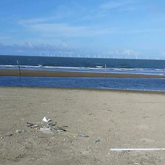 沙滩海钓（湛江）