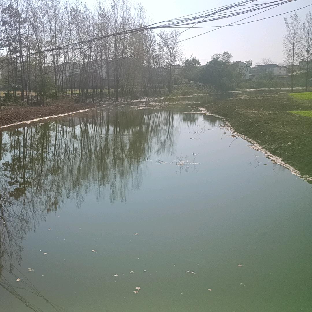 不求万人懂，只求一人疼