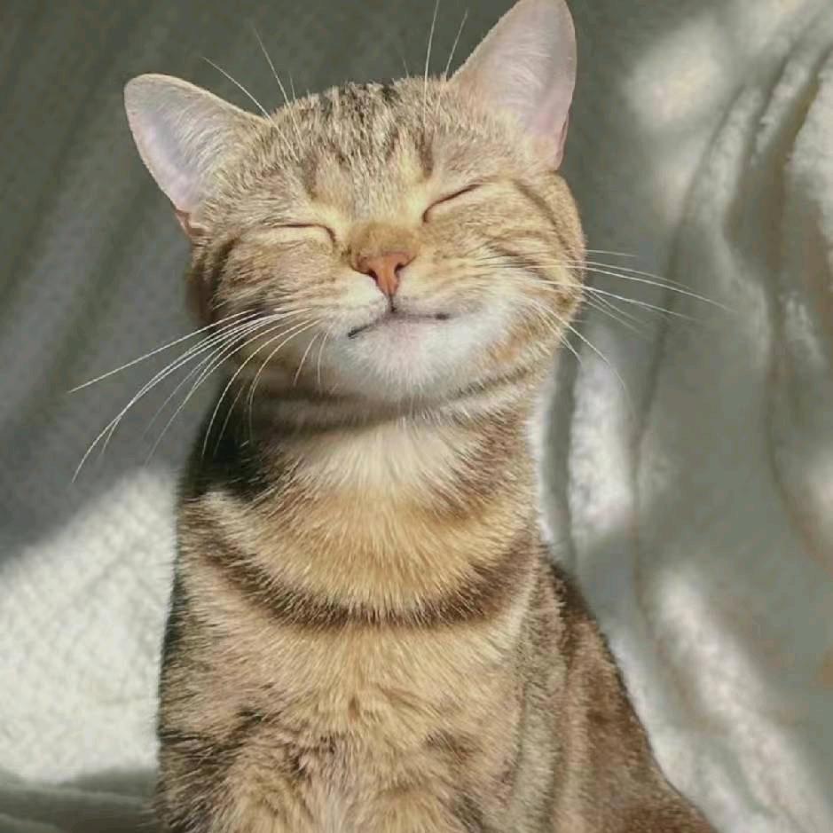 ❤️天青色等烟雨❤️