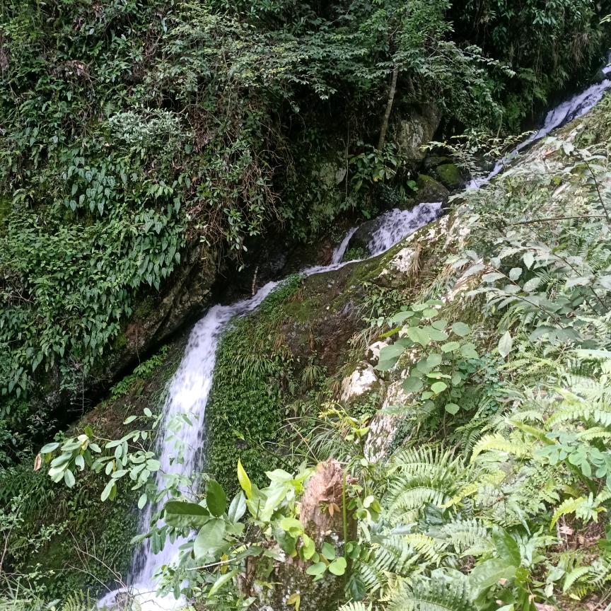山水