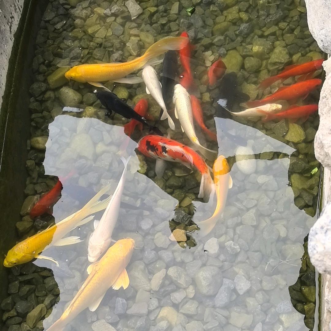 平步青云