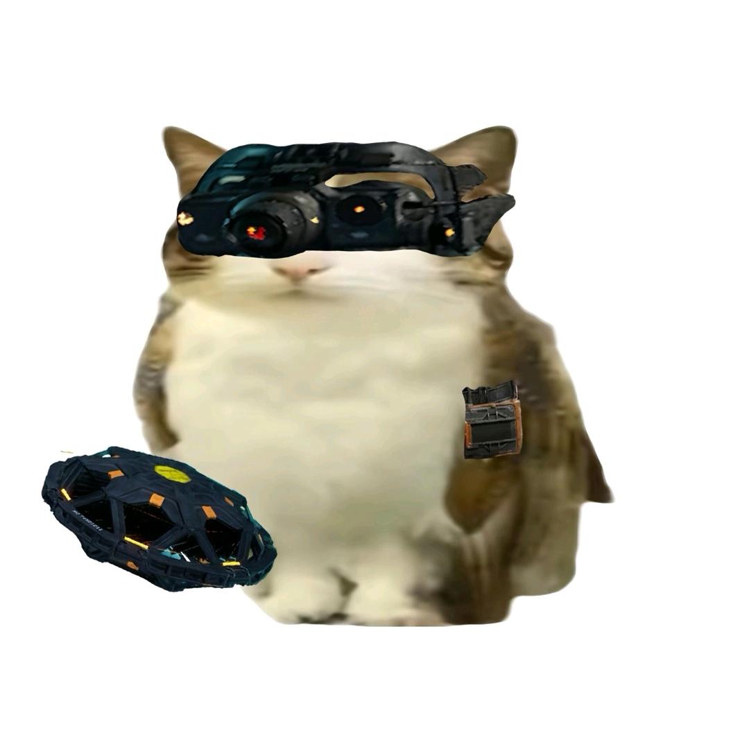 我要开始绕后了.