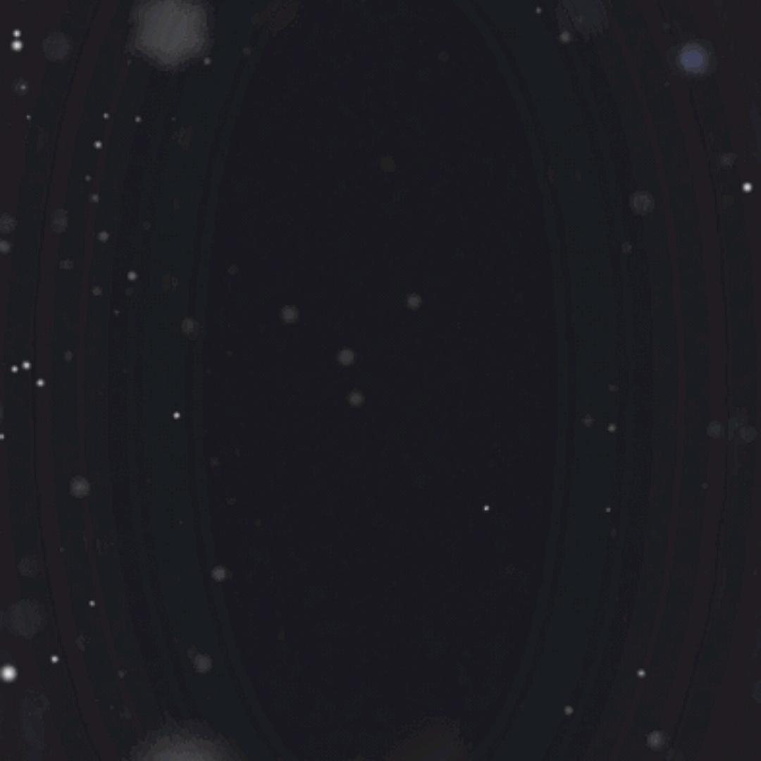 夜夜夜