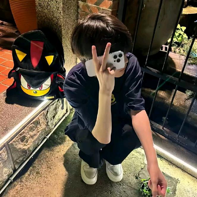 半月泪.