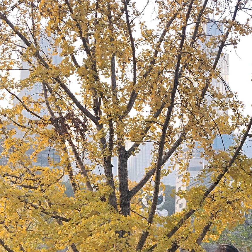 蒋…不讲
