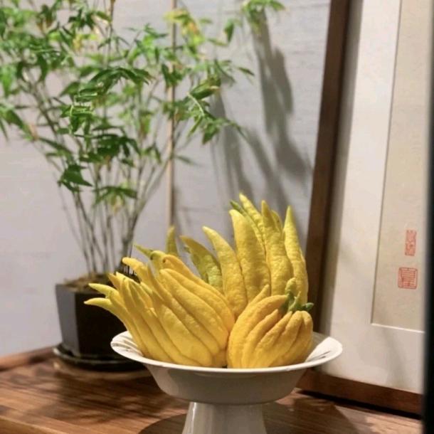盆盆好佛手