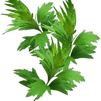 传D正能量～我在行动