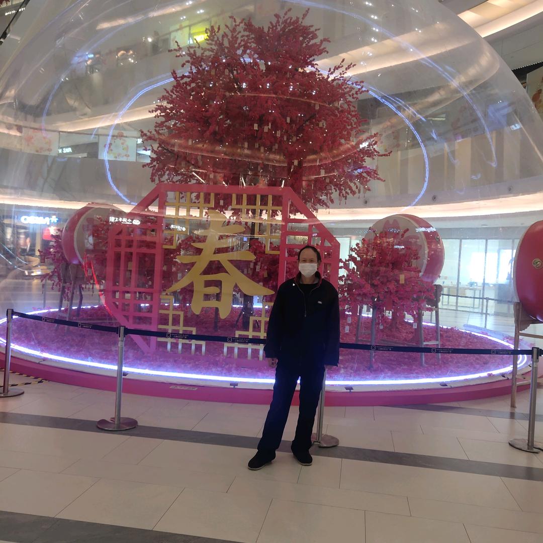 迎春風华