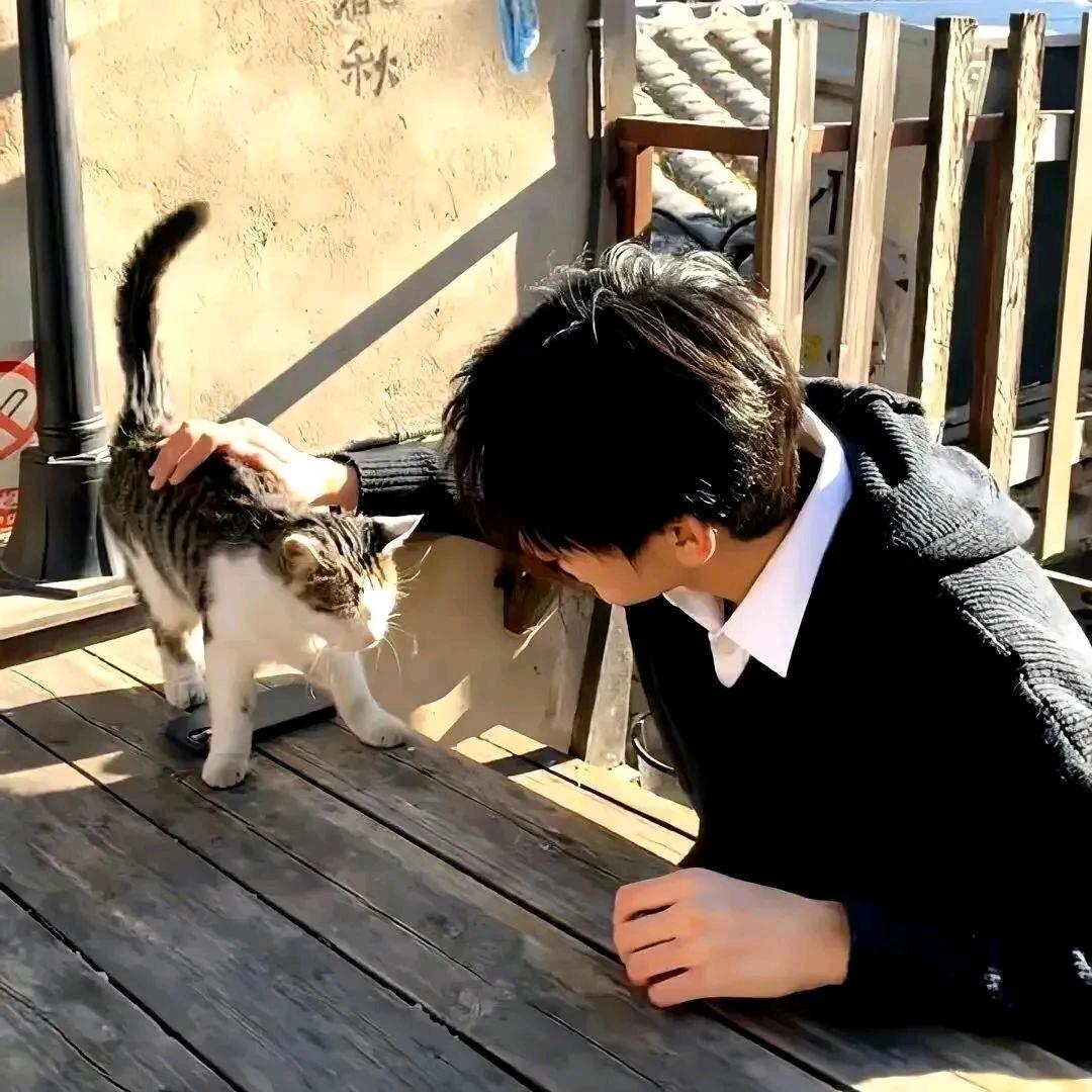 🌈ɞ᭄࿐涛ᰔ🌈