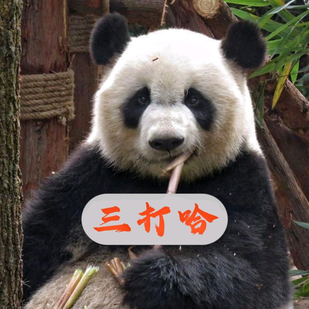 微乐大能猫