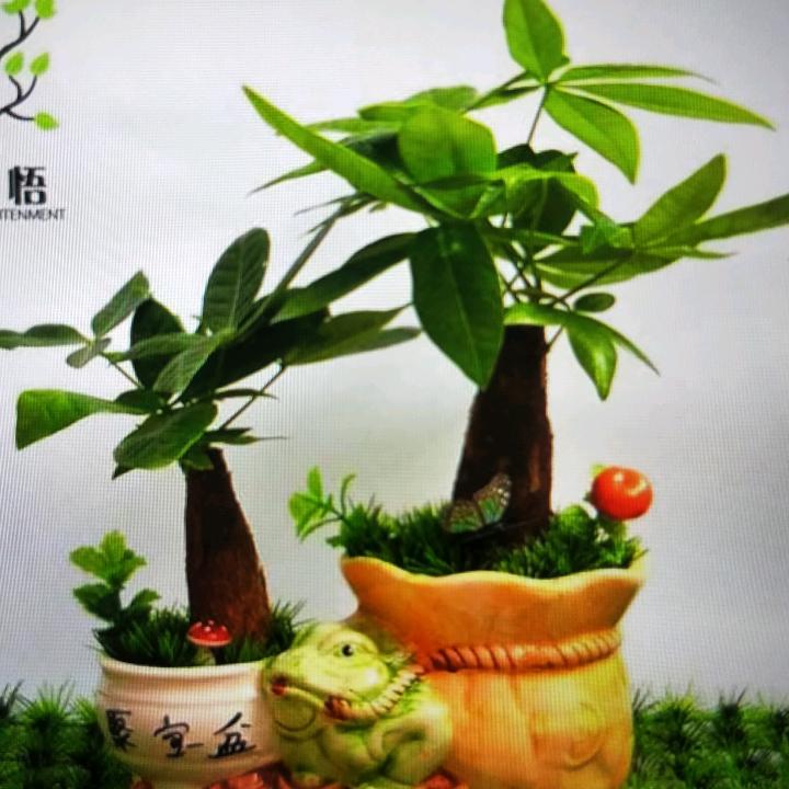 坤哥健身养生团