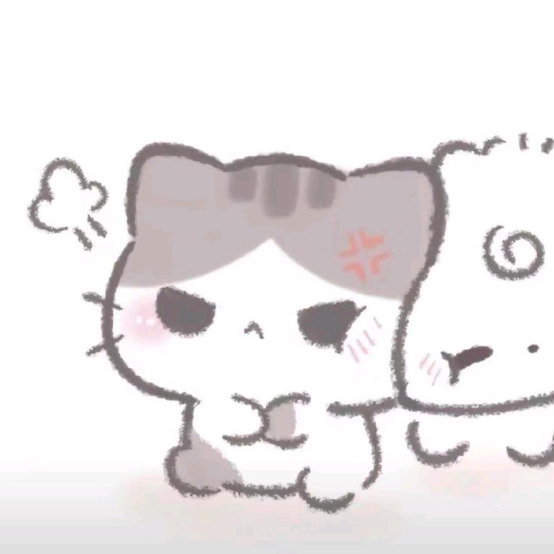 鑫鑫公主