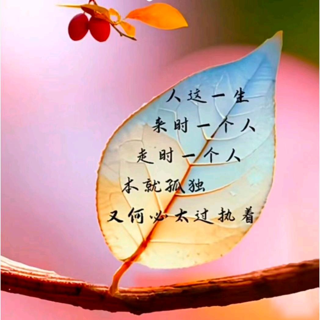珍爱余生
