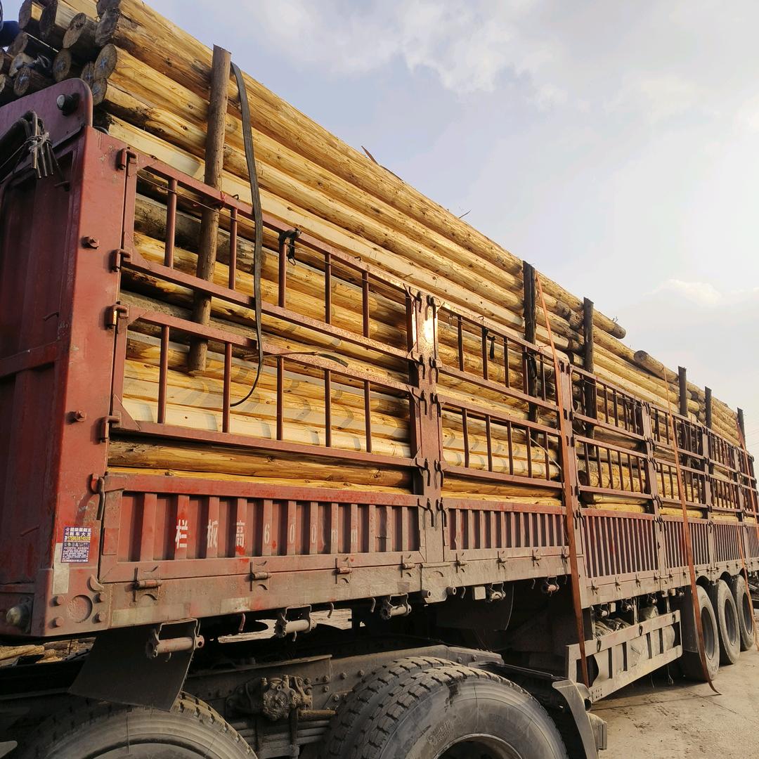 一木一世界——诚信经营