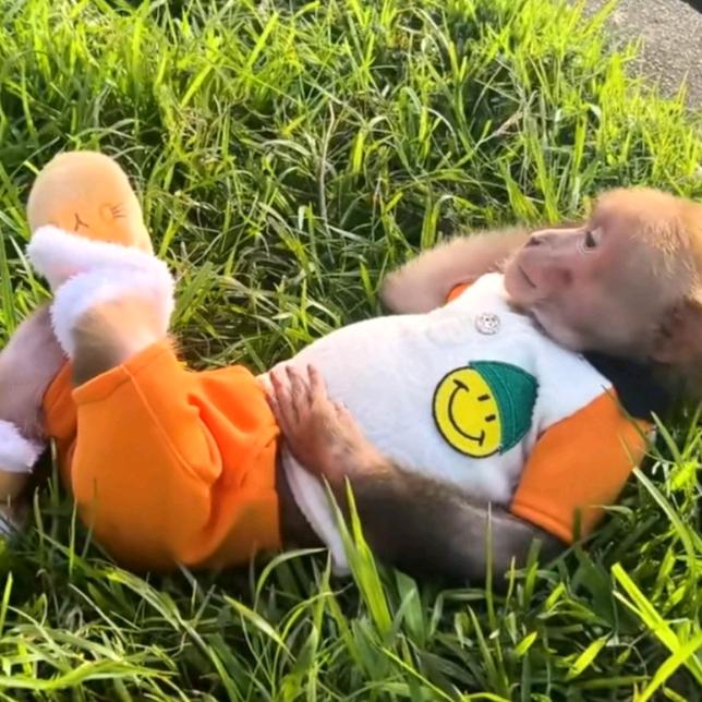 萌🐒