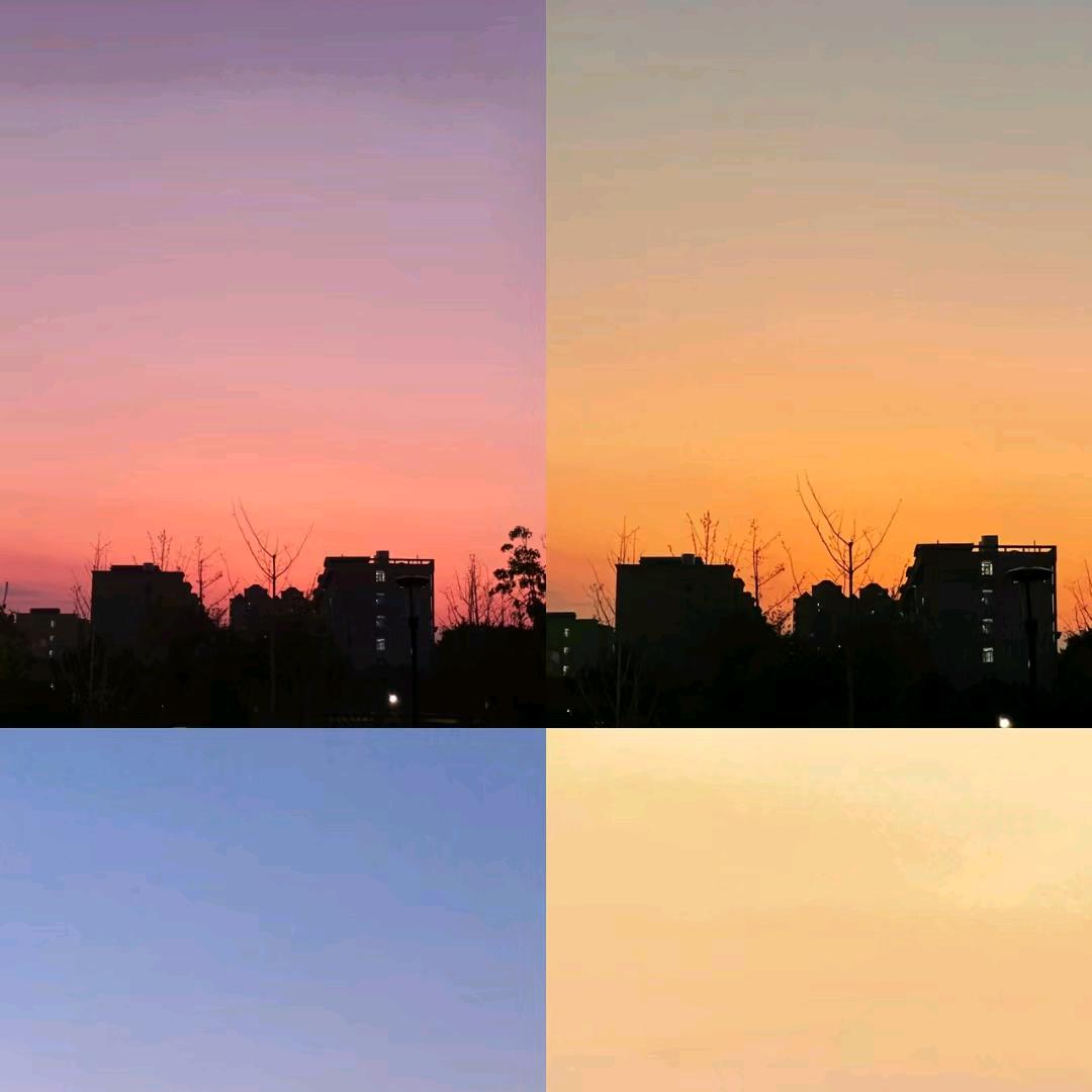（｡ò ∀ ó｡）