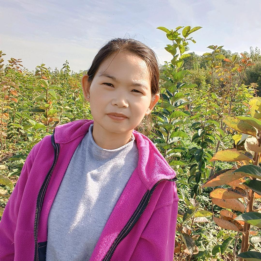柿子村—高端甜柿