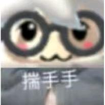 从不木头
