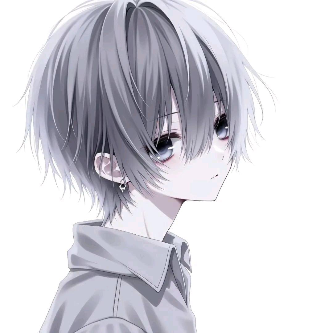 养只小猫叫小羊