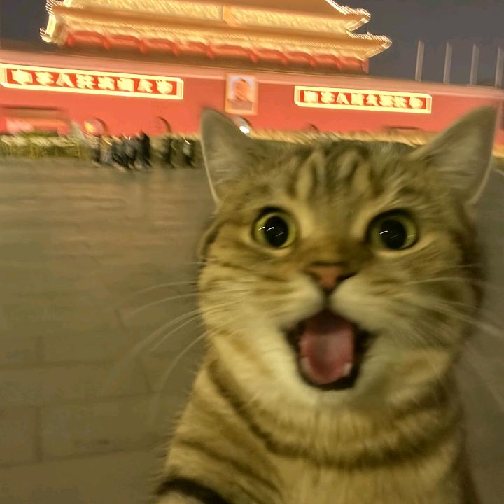 关纶