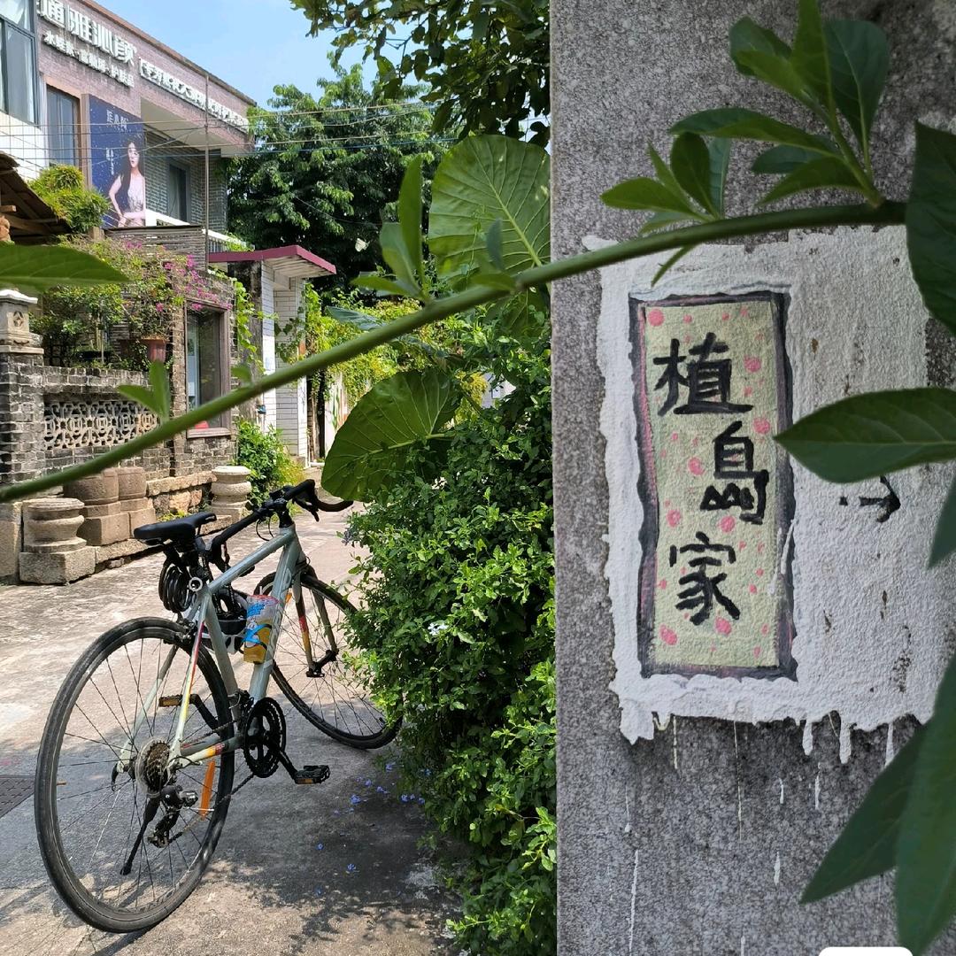 西红柿✨✨