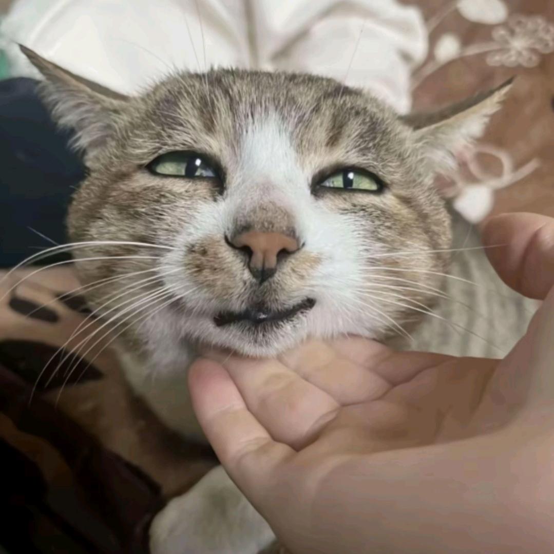 🌈Ciallo～(∠・ω< )⌒☆