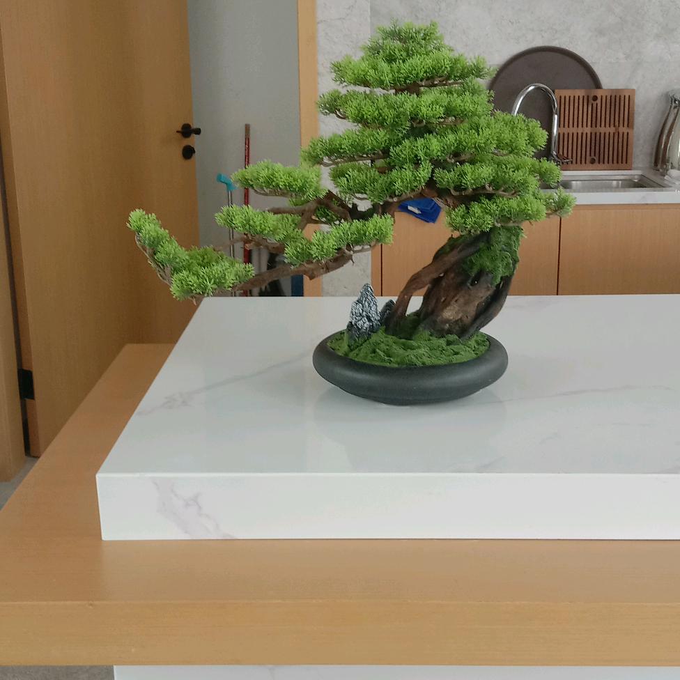 素质是留给有人品的人