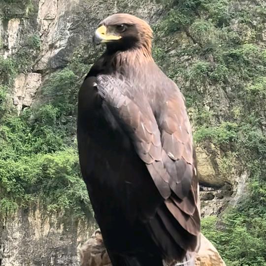 明天