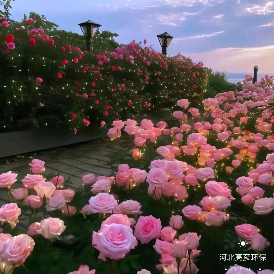 四叶草