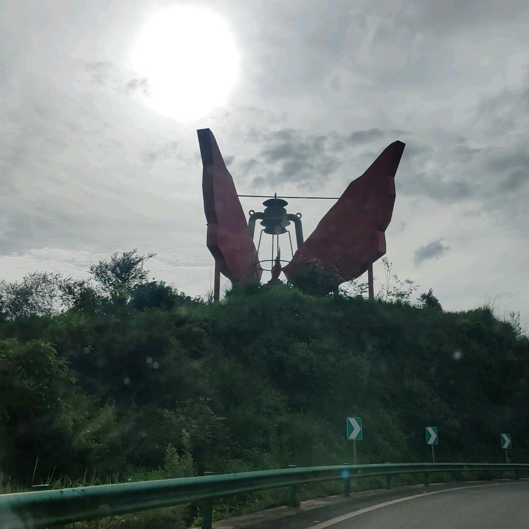 何金泰