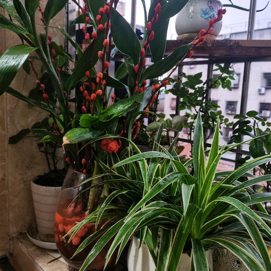 ꧔ꦿ᭄ 闹够💞就滚᭄࿐