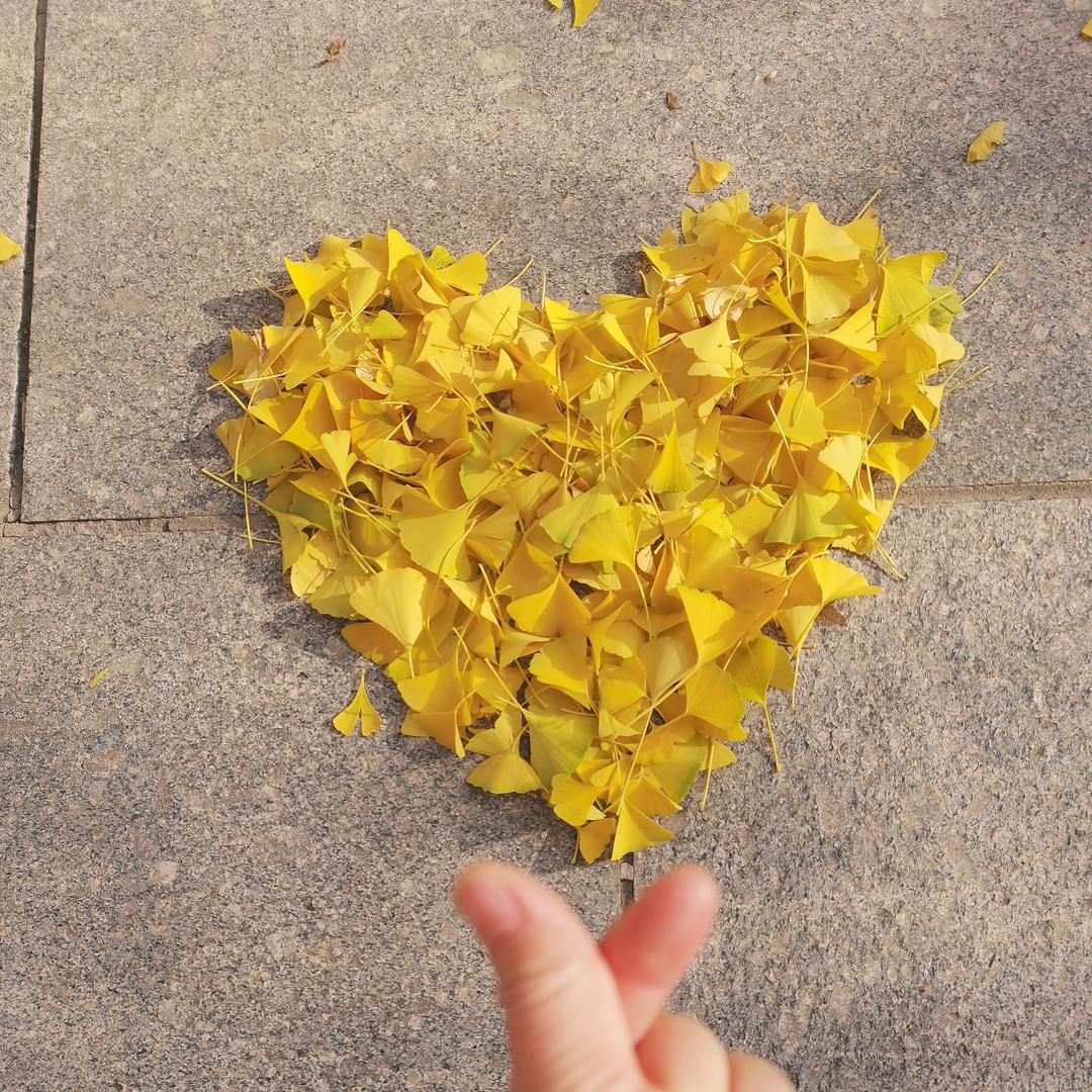 88年宝妈赚钱养娃