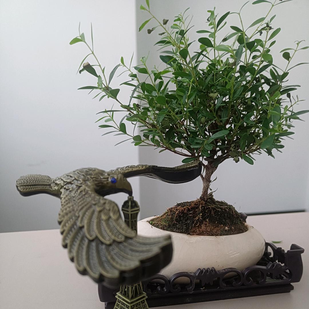 三哥专业卖木门地板