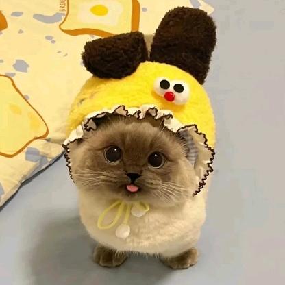 Yyyyyyyyyyyyyyyyy