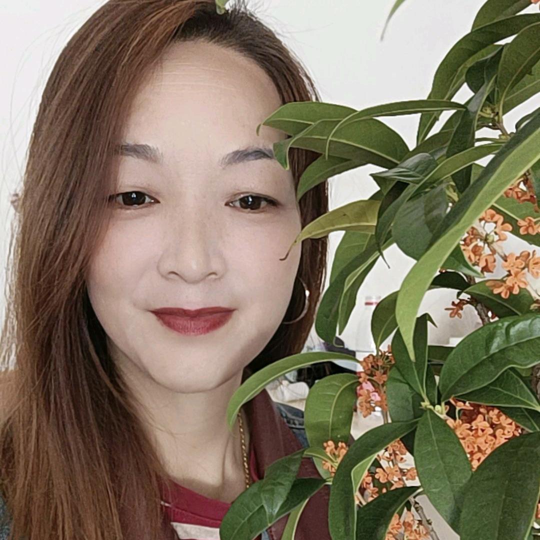 灵芝